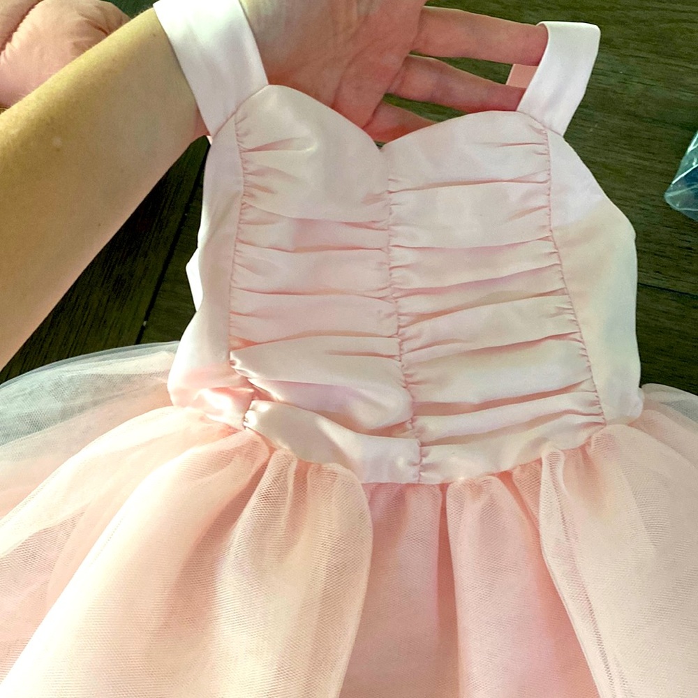 Janie and Jack Blush Tuto Dress 12-18 months